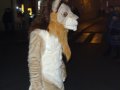 DSCF2874.JPG